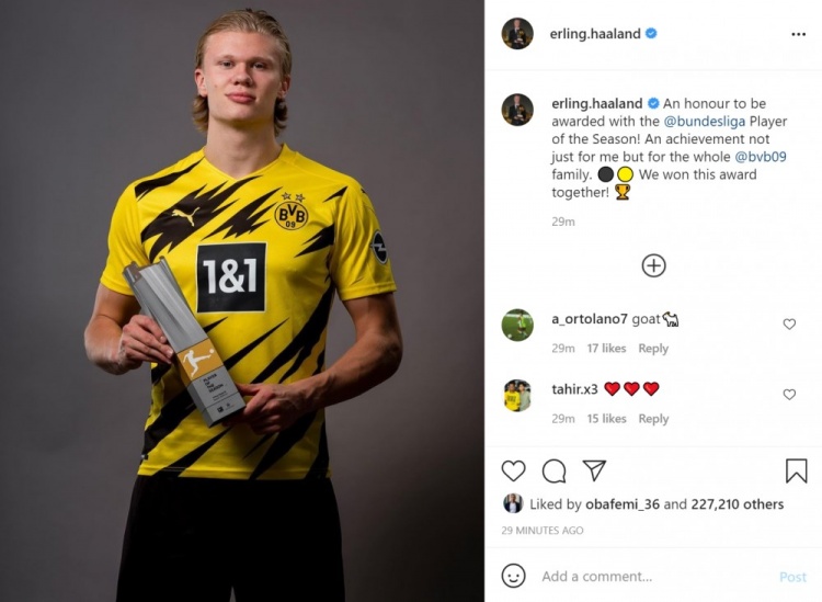 市场与稀缺 市场与稀缺