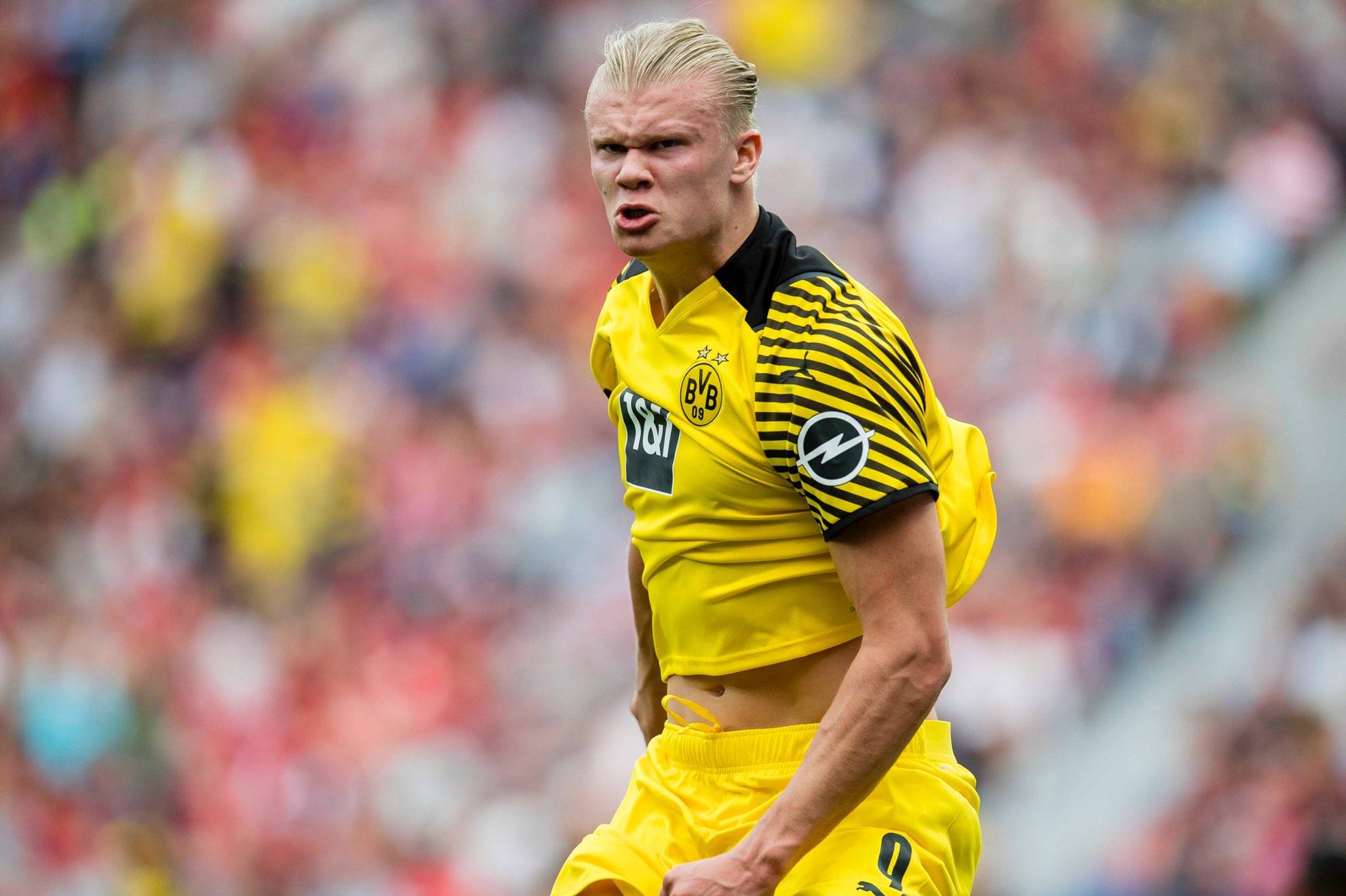 到最具破坏 到最具破坏